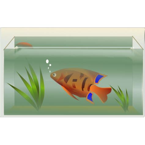 Aquarium Fish Tank Transparent Png Png Mart