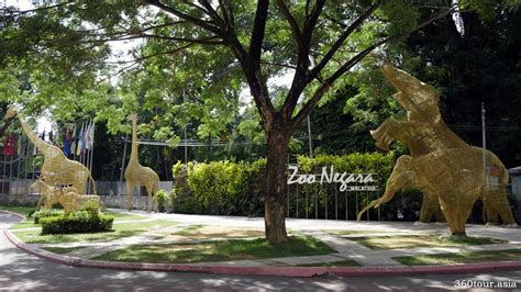 There about 20 of such zoos worldwide. Zoo Negara Malaysia, Selangor - A place to meet the Giant ...