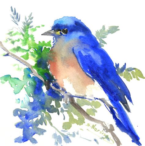 Eastern Bluebird Original Watercolor Painting Bird Watching Bird