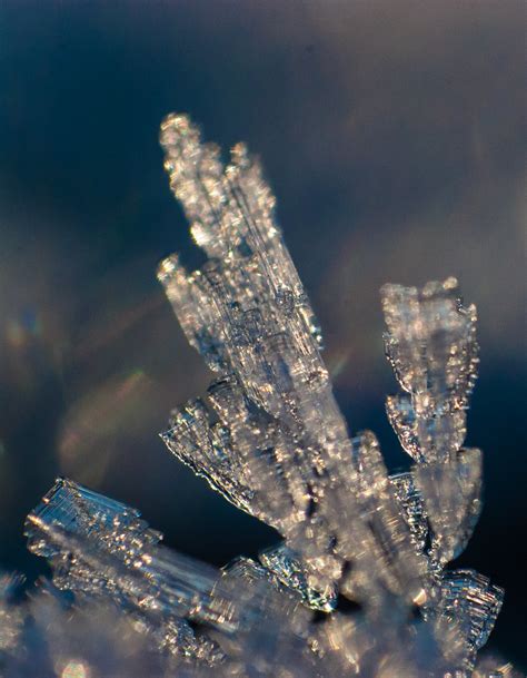 Ice Crystal Sign Up For Latest News Like Flickr