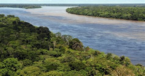 Top 10 Facts About Amazon Rainforest Best Toppers
