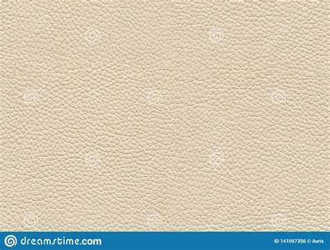 Seamless Leather Texture Stock Photo Image Of Surface