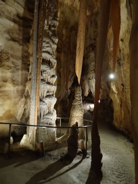 Princess Margaret Rose Cave In Victoria Australia