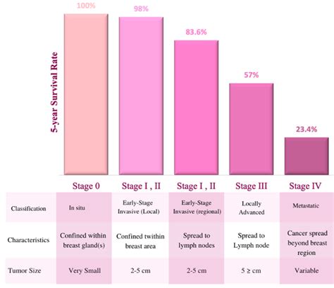 Breast Development Stages Chart