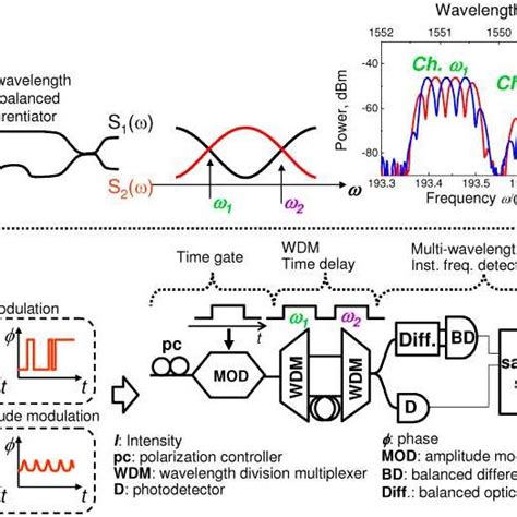 A Principle Of Multi Wavelength Balanced Differentiation B