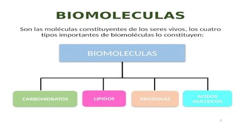 Biomoleculas Son Las Moléculas Constituyentes De Los Seres Vivos Los