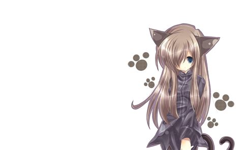 Wallpaper Cat Girl Nekomimi Art Anime 2560x1600 998265 Hd Wallpapers Wallhere