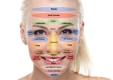 Acupuncture Points Face Chart
