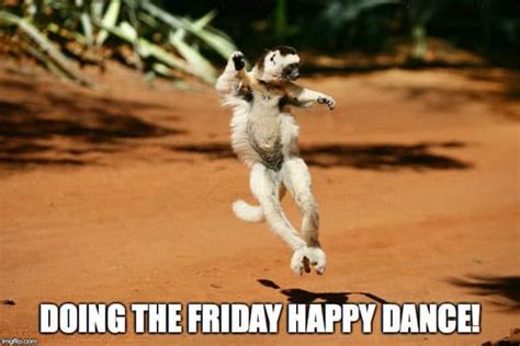 40 Happy Dance Memes To Put A Smile On Your Face