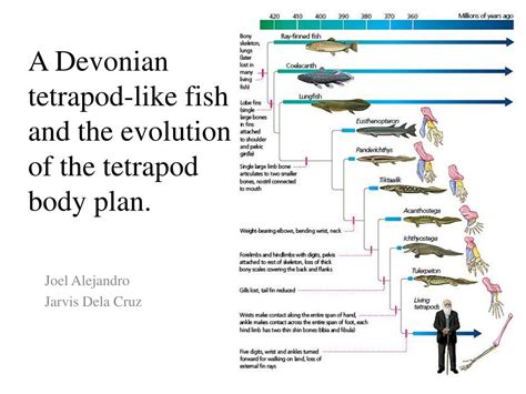 Ppt A Devonian Tetrapod Like Fish And The Evolution Of The Tetrapod