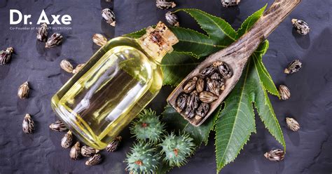Castor Oil Benefits Uses Dosage And Side Effects Dr Axe