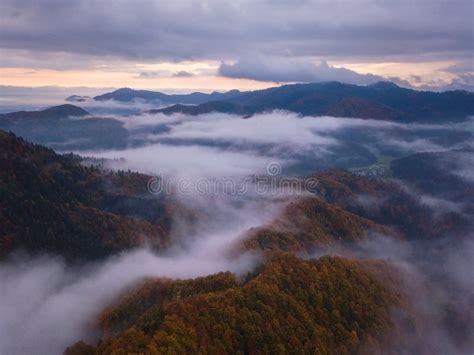 Beautiful Misty Sunrise Over The Alpine Wooded Mountain Ridge Scenic
