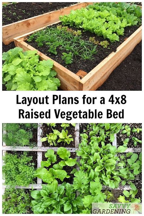 4x8 Raised Bed Vegetable Garden Layout Ideas What To Sow And Grow