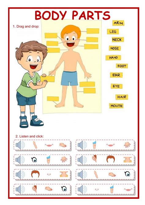 Parts Of The Body Exercises For Adults Pdf Exercise Poster