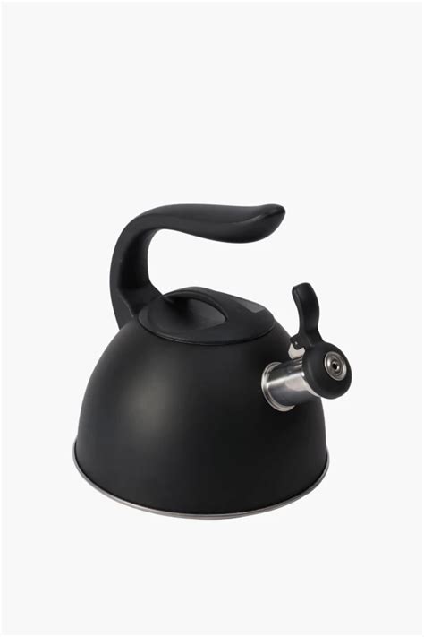 Stainless Steel Stove Top Kettle