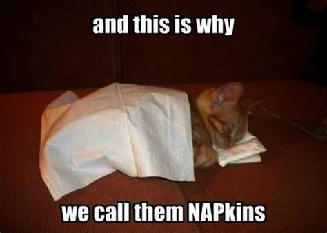 This Is Why We Call Them Napkins Pictures Photos And Images For