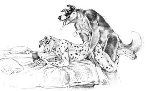 Rule 34 Anal Anal Sex Anthro Bed Black And White Blotch Canine Canine