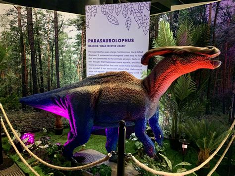 33 Dinosaur Exhibit Jacksonville Fl Freyjalucca