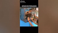 Spawn de peruanos - YouTube