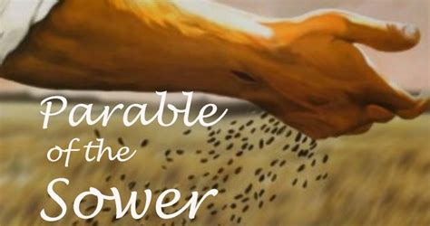 The Parable Of The Sower Daily Bible Readings