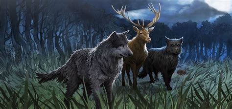 We already know the big reveals and how everything ends up. Marauders | Harry Potter Wiki | FANDOM powered by Wikia