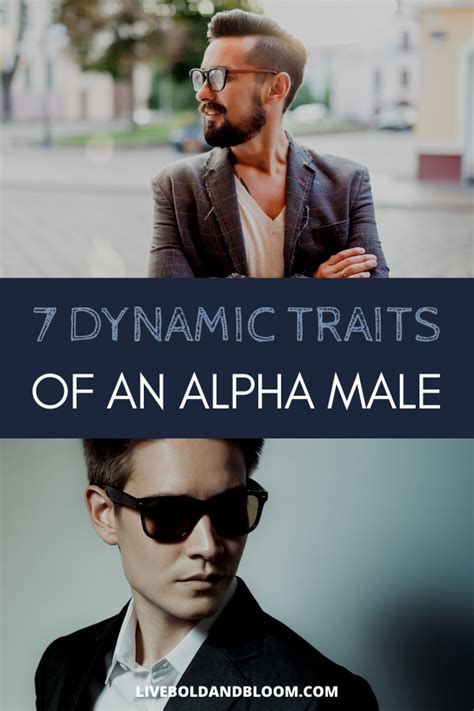 7 Alpha Male Dynamic Traits