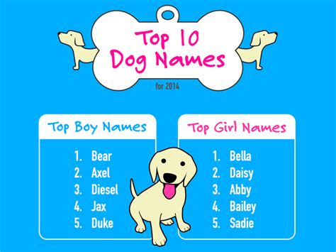 Top 10 Dog Names For 2014 Visually