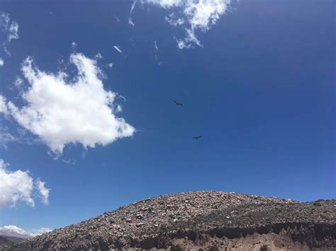Noa Argentina Trail Running Condor Exaequo Voyages