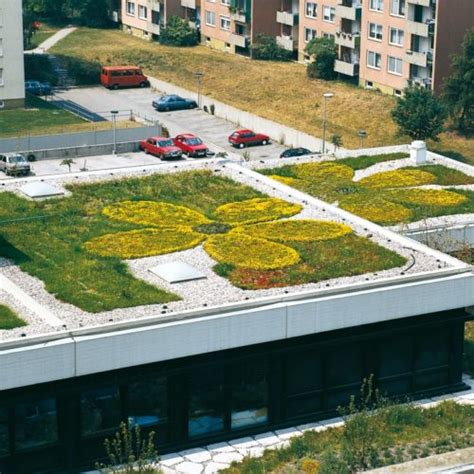 Extensive Green Roofs Green Roof Technology