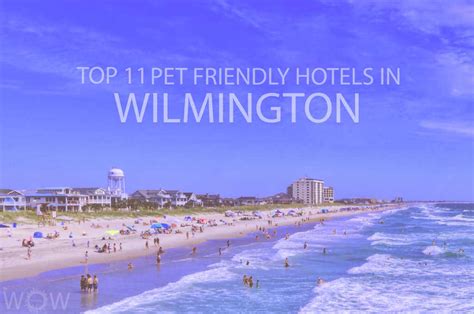 Top 11 Pet Friendly Hotels In Wilmington Nc Year Wow Travel