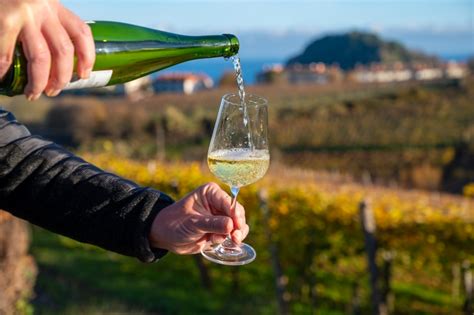 What Is The Driest White Wine A Guide For Wine Lovers Dinewithdrinks
