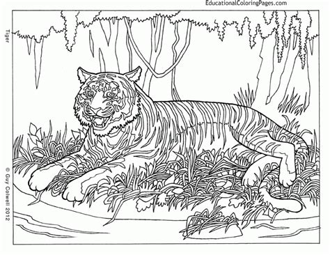 A classically epic imposter for anyone to color in can also be found at wonder day's website, which has many coloring pages for users to enjoy. Hard Coloring Pages For Older Kids - Coloring Home