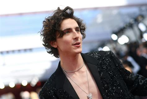 Timoth E Chalamet Was Shirtless On The Oscars Red Carpet See