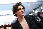 Timothée Chalamet Was Shirtless on the Oscars 2022 Red Carpet — See ...