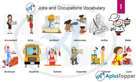 Jobs And Occupations Vocabulary List Of Jobs And Occupations