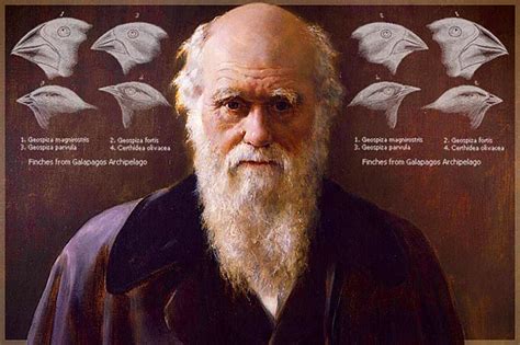 210 Doğum Gününde Charles Darwin Evrim Teorisini Ortaya Atan Bilim