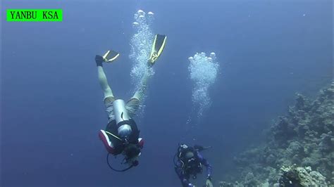 Seven Sisters Dive Sites Yanbu Saudia Arabia Dive Trip Organized By Scubadivercenter Youtube