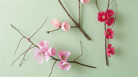 Cherry Blossom Branch Martha Stewart