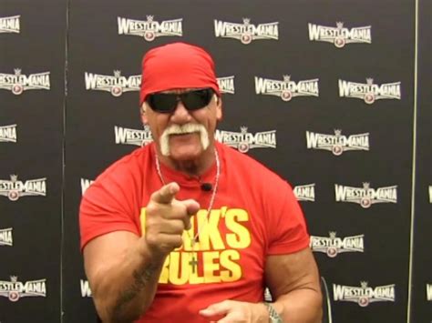 VIDEO Hulk Hogan On One Final Match At WrestleMania 31 Wrestlemania