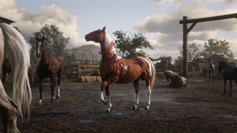 Horse Red Dead Redemption 2 Wallpapers Top Free Horse Red Dead