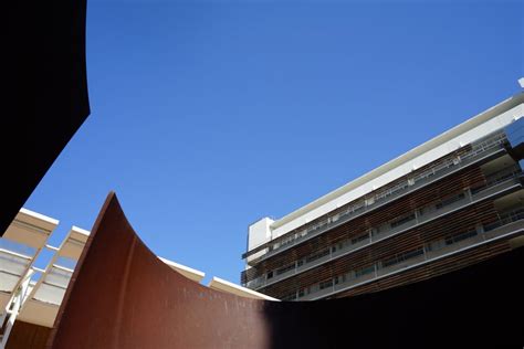 Franklin D Murphy Sculpture Garden — Ucla University Of California