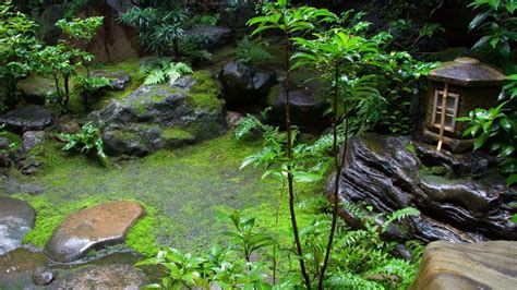 How To Make A Japanese Moss Garden Indoor Gardening