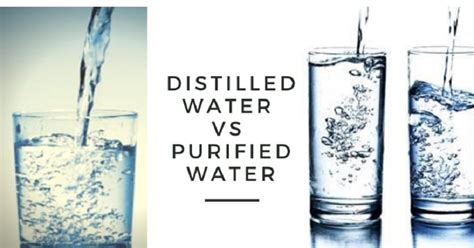 Distilled Water Vs Purified Water Comparison Guide 2024