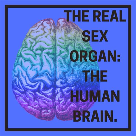 the real sex organ the human brain — out boulder county