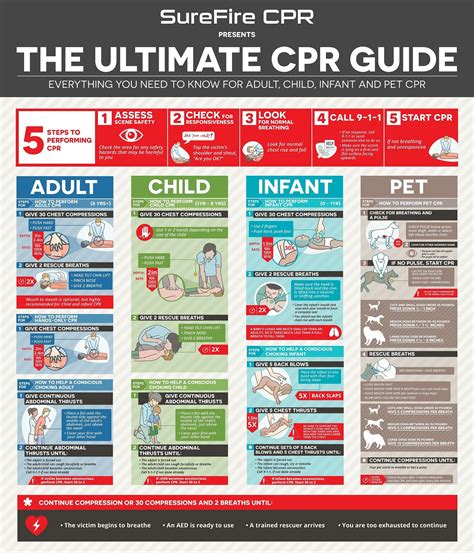 Infographic Learn How To Perform Cpr With This Ultimate Guide