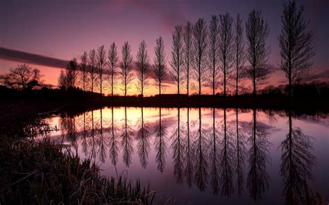 England Trees Row Lake Reflection Night Sunset Sky Clouds