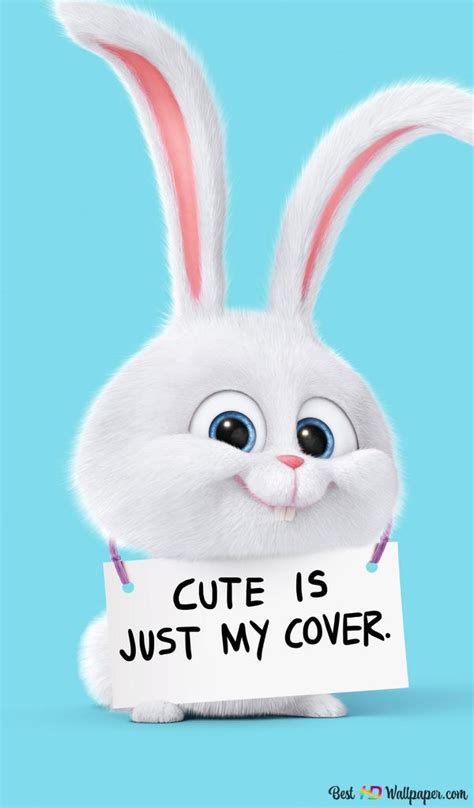 The Secret Life Of Pets Snowball The Rabbit 4k Wallpaper Download