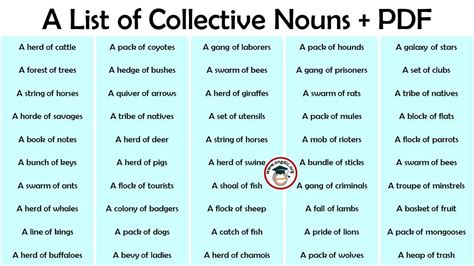 A List Of Collective Nouns Pdf Definition And Infographics Engdic