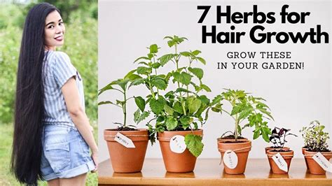 7 Herbs You Need In Your Garden For Hair Growth And Glowing Skin Beautyklove Youtube