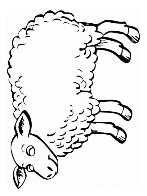 600x812 hhh inks by karate chop. Lamb coloring pages. Download and print lamb coloring pages